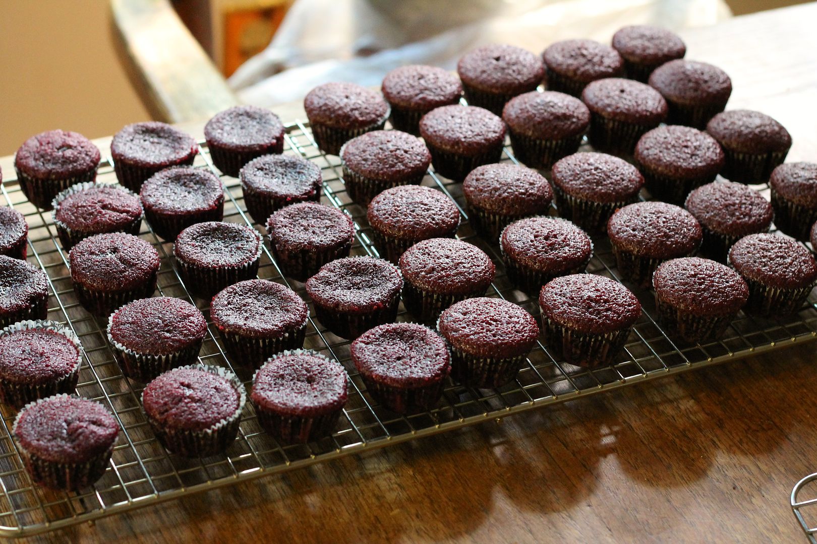 Red Velvet Mini Cupcakes | Korena in the Kitchen