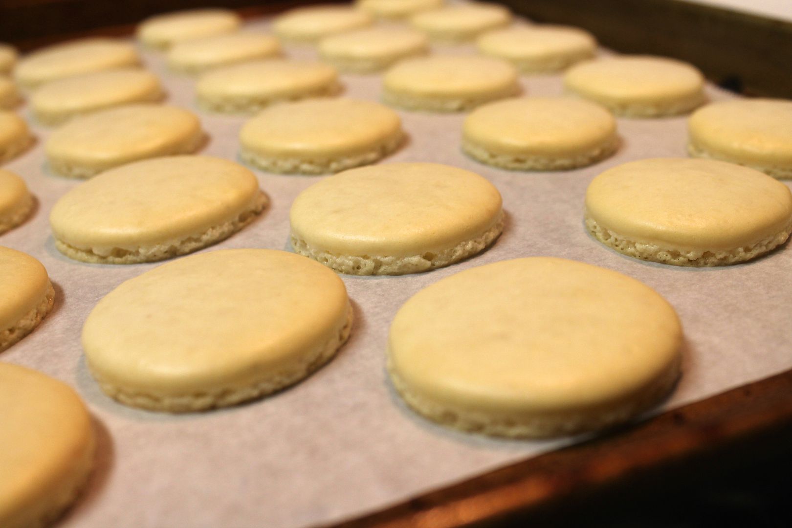 perfect macaron shells! | Korena in the Kitchen