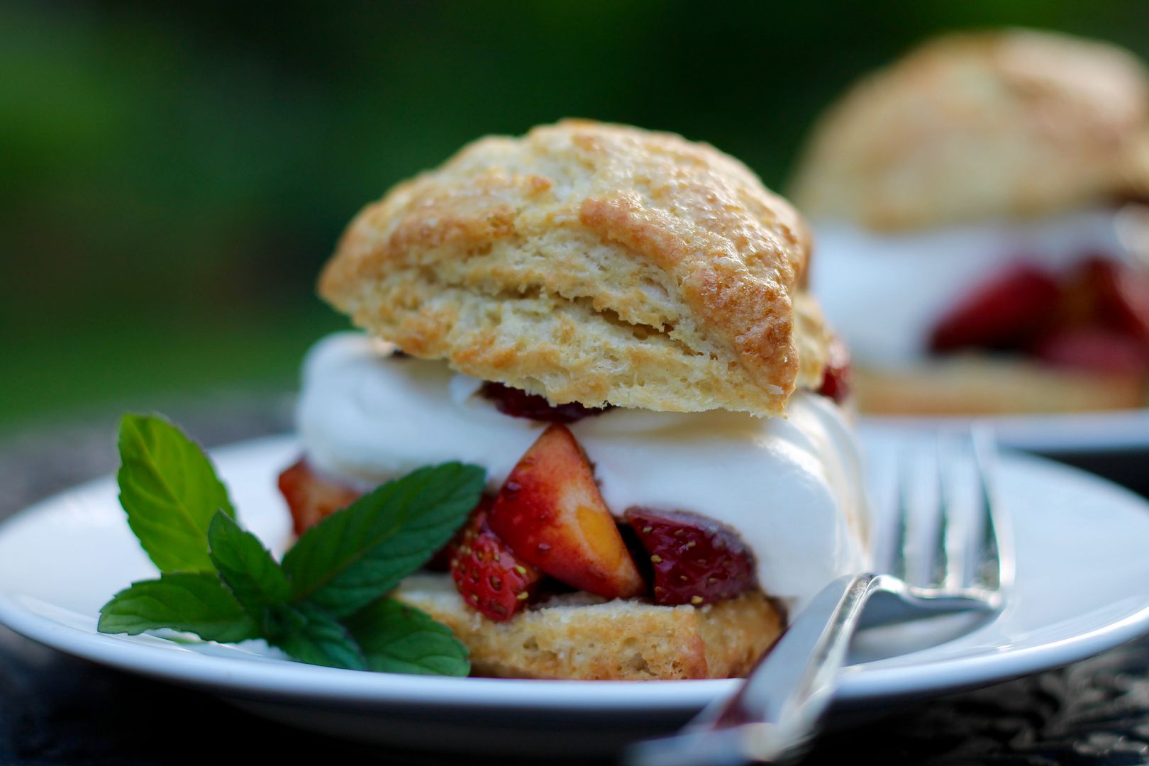 Sourdough Scones and Shortcakes | Korena in the Kitchen