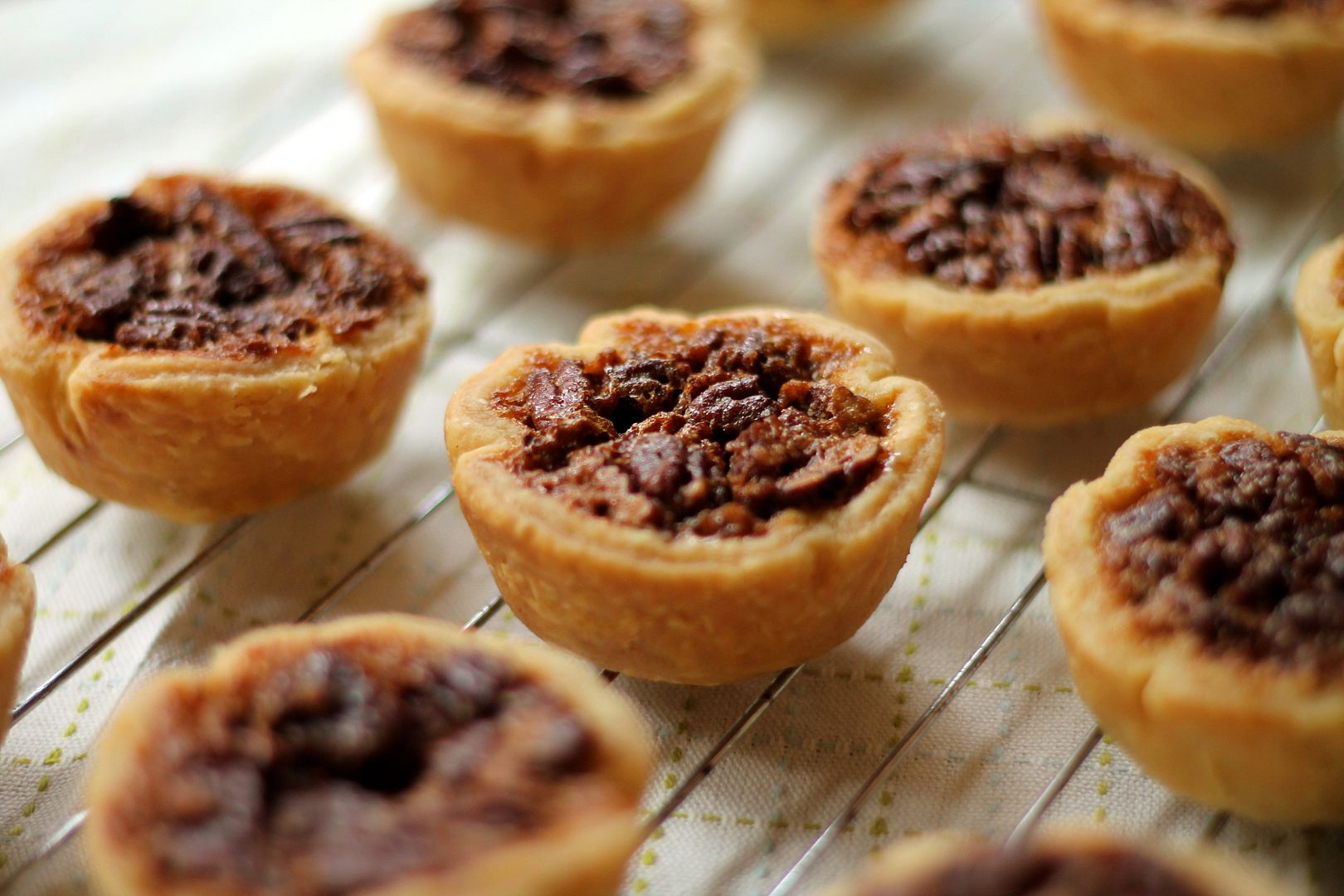 maple pecan butter tarts