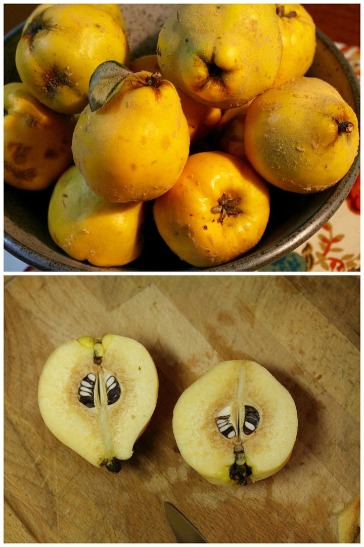 Quinces | Korena in the Kitchen