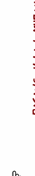 carapada