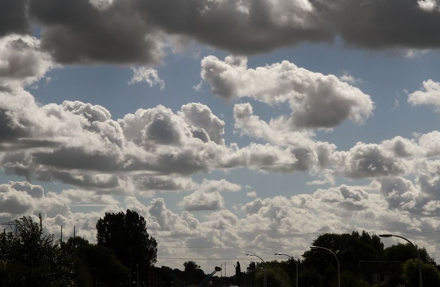 Fotografie