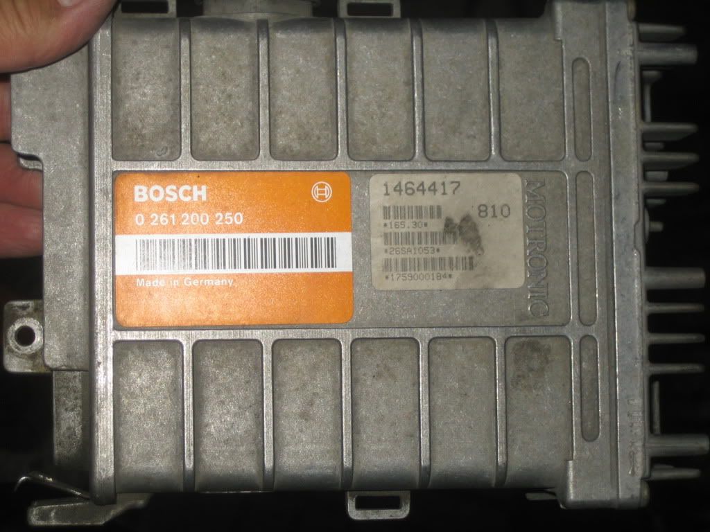 20090811f.jpg