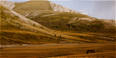 Mongolie_zpsc1e83c03.png