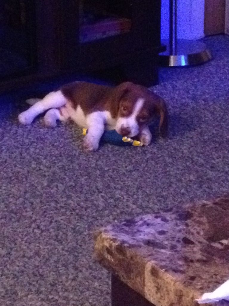 4F019F1E-708E-46C3-B6FB-665B69703D8D-460