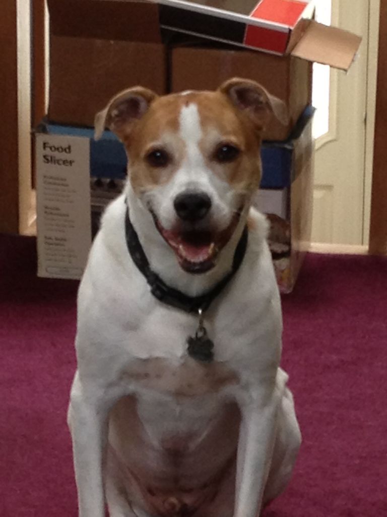 A8C52692-4B88-4AA0-9FCD-745C7FAF30D0-460