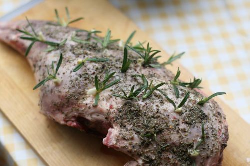 lamb 1 photo 1_lamb_zps394e857e.jpg