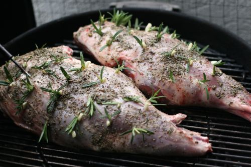 lamb 3 photo 2_lamb_zpsf6fdae6f.jpg