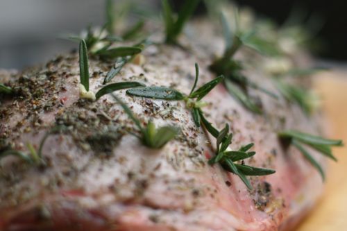 lamb 2 photo 3_lamb_zpsabe22a90.jpg