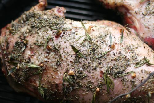 lamb 4 photo 4_lamb_zps65a39100.jpg