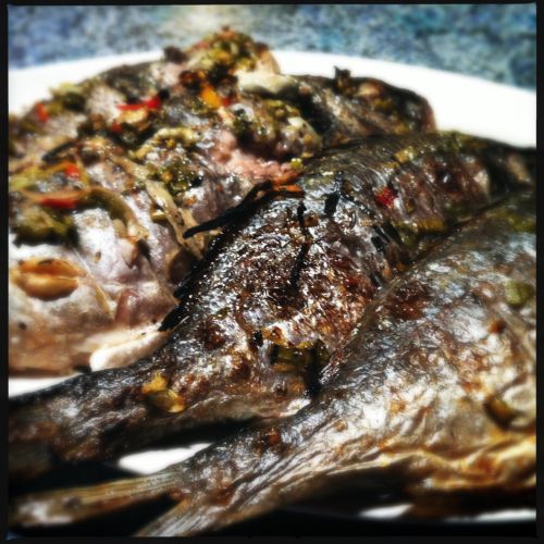 fish done photo fish_done_zps9343cafc.jpg