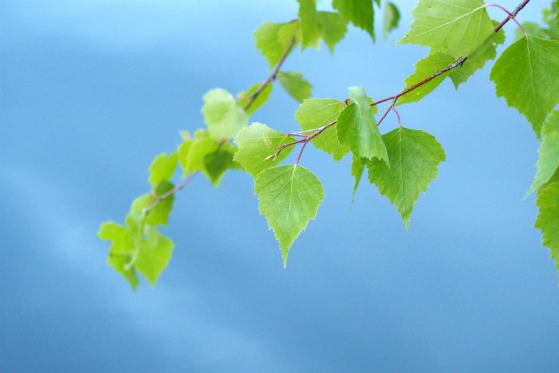photo P6060340_zps1cnhqnqr.jpg