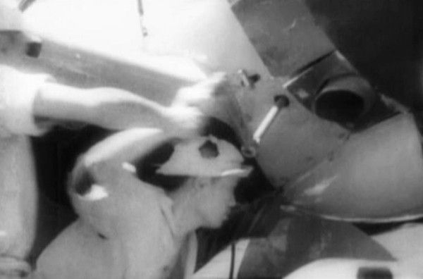 FAOW Famous Airplanes Of The World No.49 Japanese Kawanishi Flying Boat Type 2 FAOW Famous Airplanes Of The World No.49 Japanese Kawanishi Flying Boat Type 2
