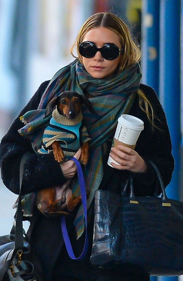 Olsens Anonymous: ASHLEY | WALKING WITH HER DOG IN NYC