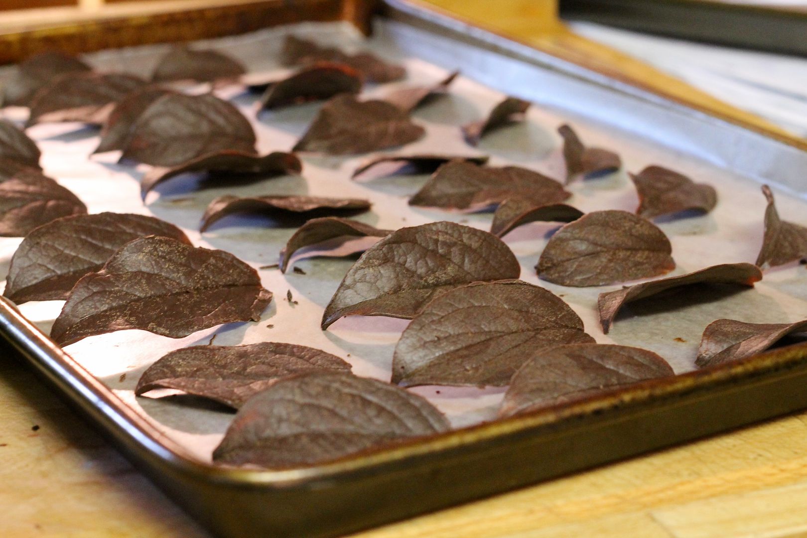 Tempered Chocolate Leaves | Korena in the Kitchen