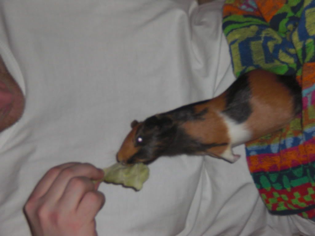 PancakeRIP-1.jpg
