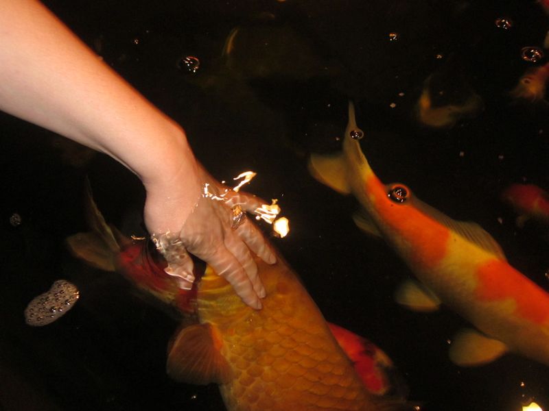 photo 1849.jpg