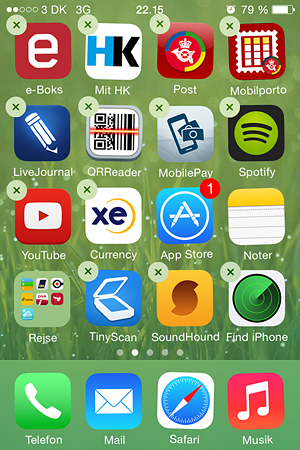 photo IMG_1994.png