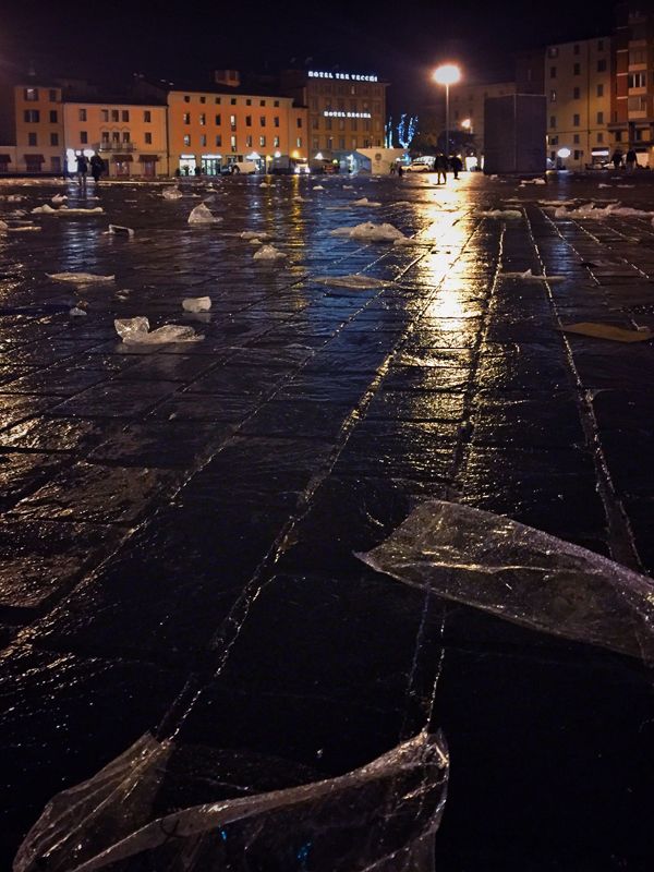 photo frida_4.jpg