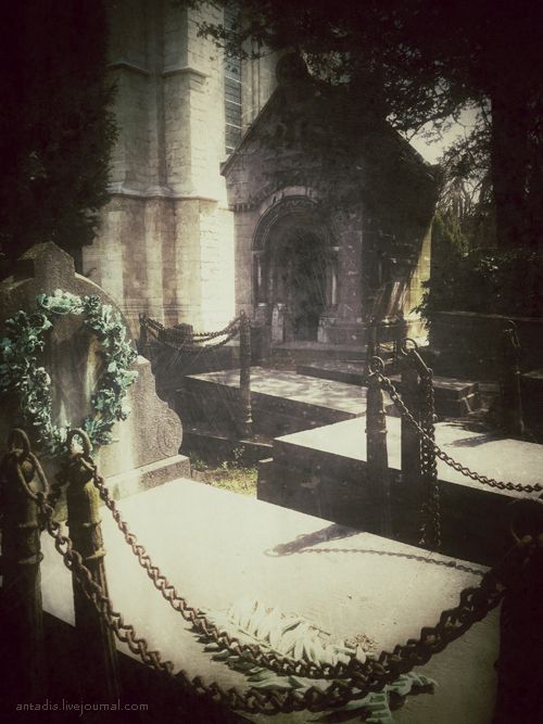 photo IMG_6923.jpg