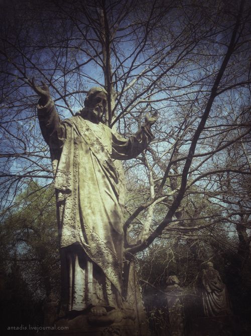 photo IMG_6928.jpg
