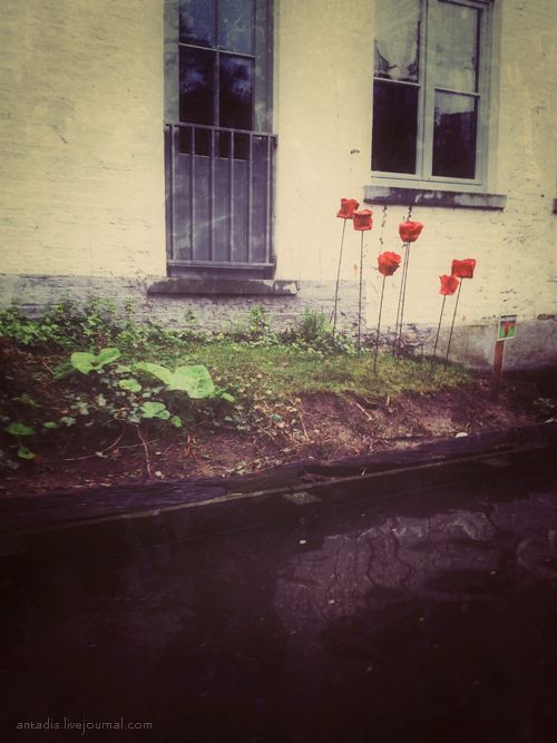 photo IMG_6992.jpg