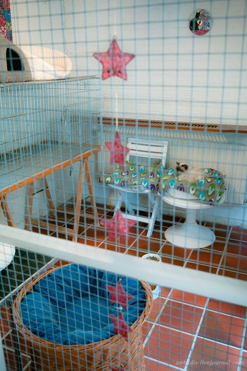 photo 6876.jpg