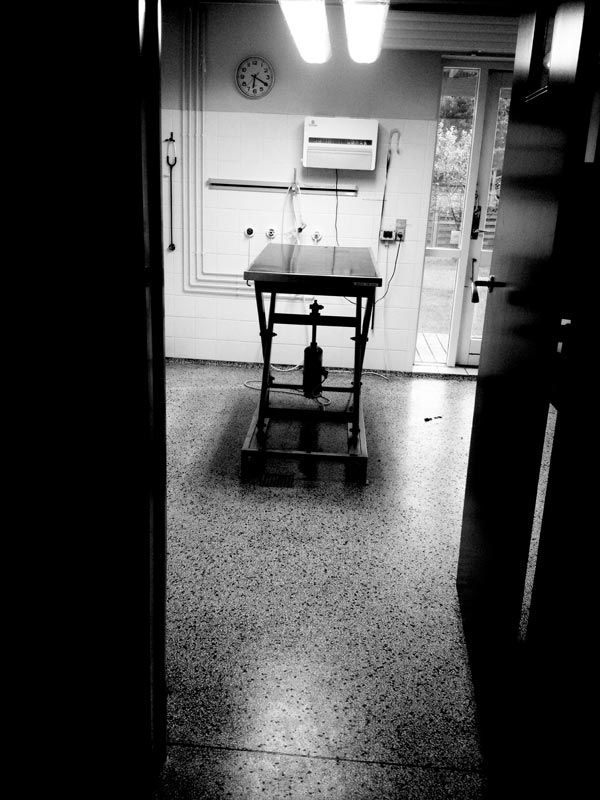 photo 5_600.jpg
