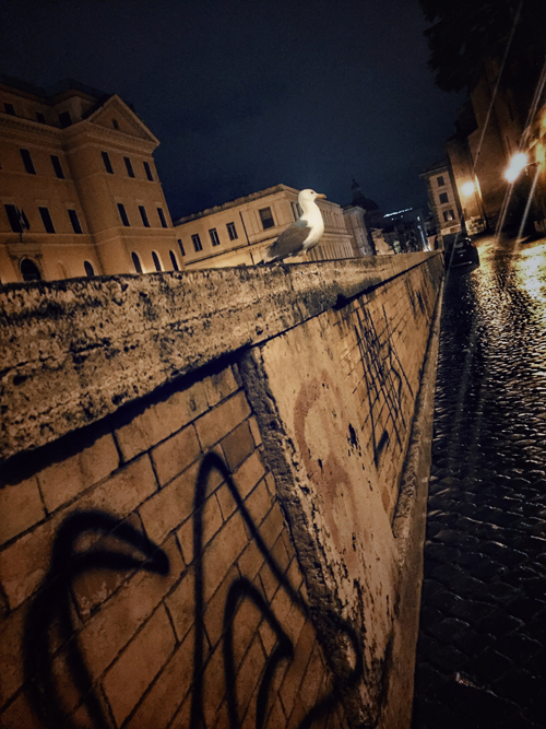 photo rome_18.png